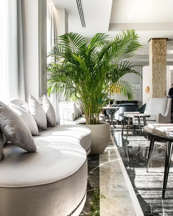 Boscolo Lyon, photo 5