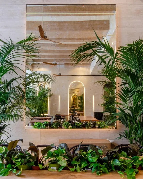 Browns Avenue Hotel, photo 4