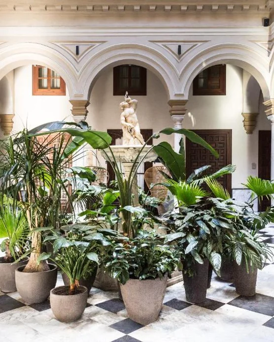 CoolRooms Palacio Villapanés 5 GL, photo 3