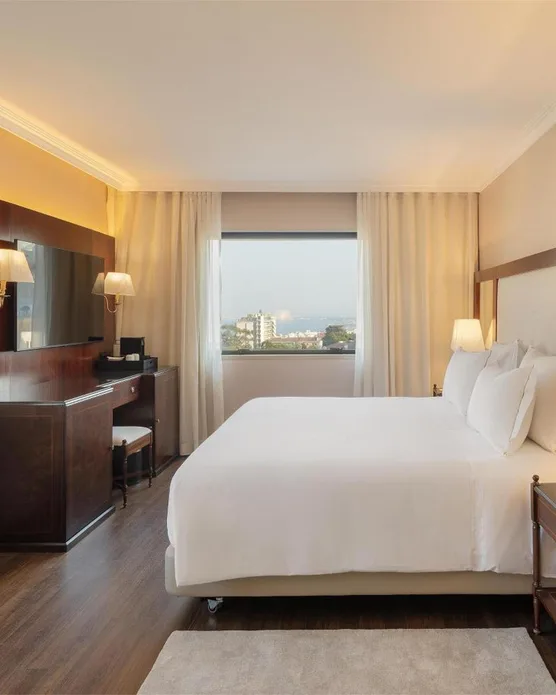 Dom Pedro Lisboa Hotel, photo 4