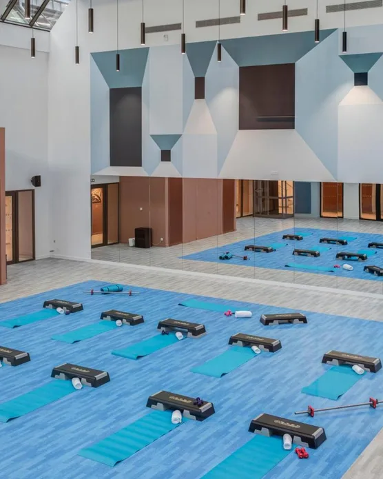 Hôtel Lyon Métropole & Spa, photo 4