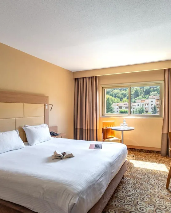 Hôtel Lyon Métropole & Spa, photo 2