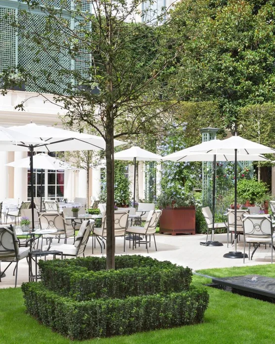 Le Bristol Paris, photo 4